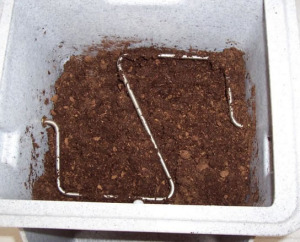 peat moss in toilet compartment smaller file